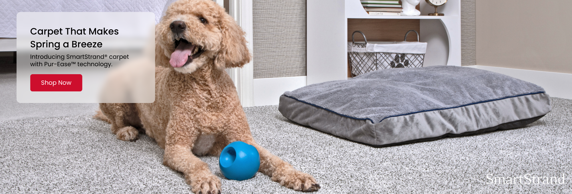 Your local flooring experts in the Grandy area