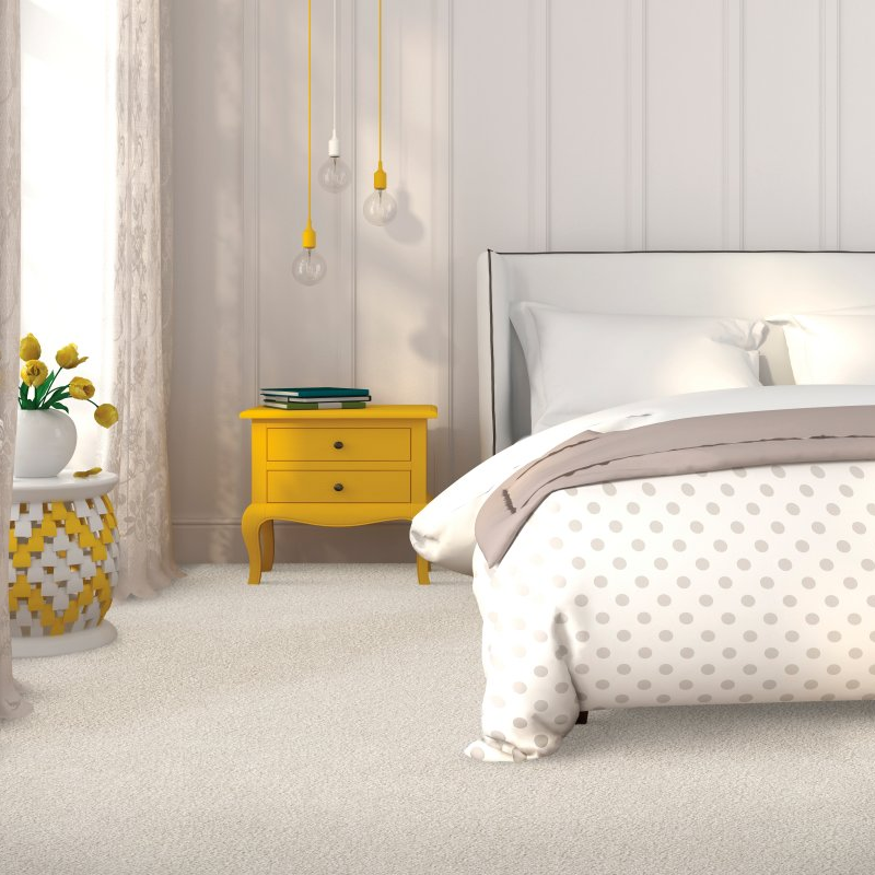 Carolina Flooring and Interiors providing stain-resistant pet proof carpet in Grandy, NC - Coastal Fashion - Bliss